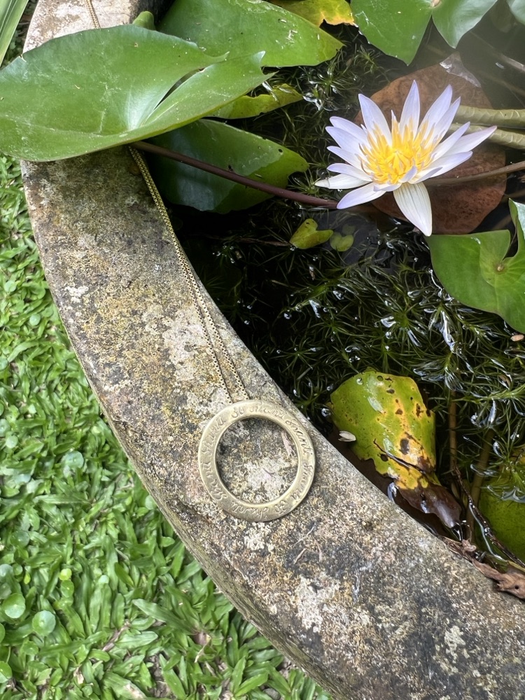 The necklace on the stone rim of a pond beside a white water lily